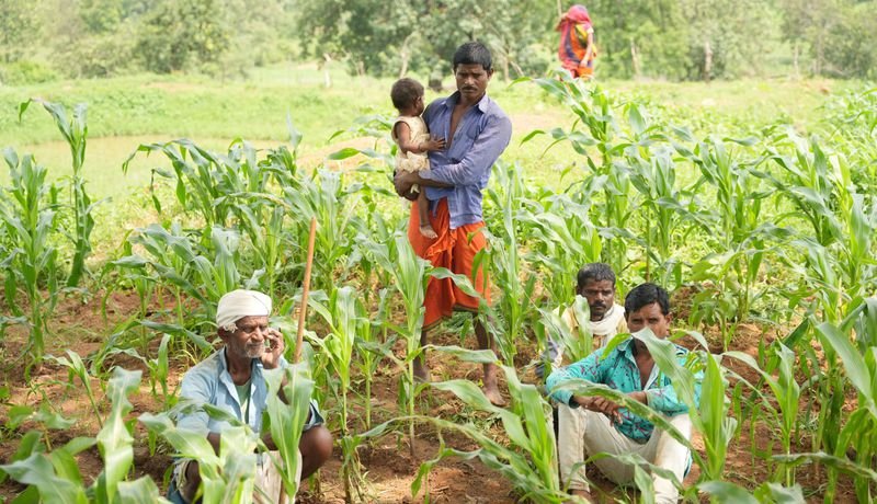 Rural Reforestation